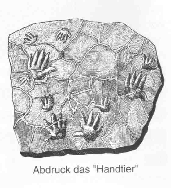 Abdruck das Handtier