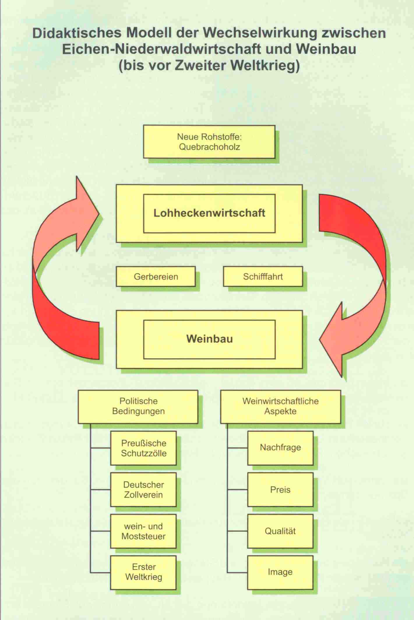Wechselwirkungen zwichen Eichen-Niederwaldwirtschaft und Weinbau  < 108 KB >