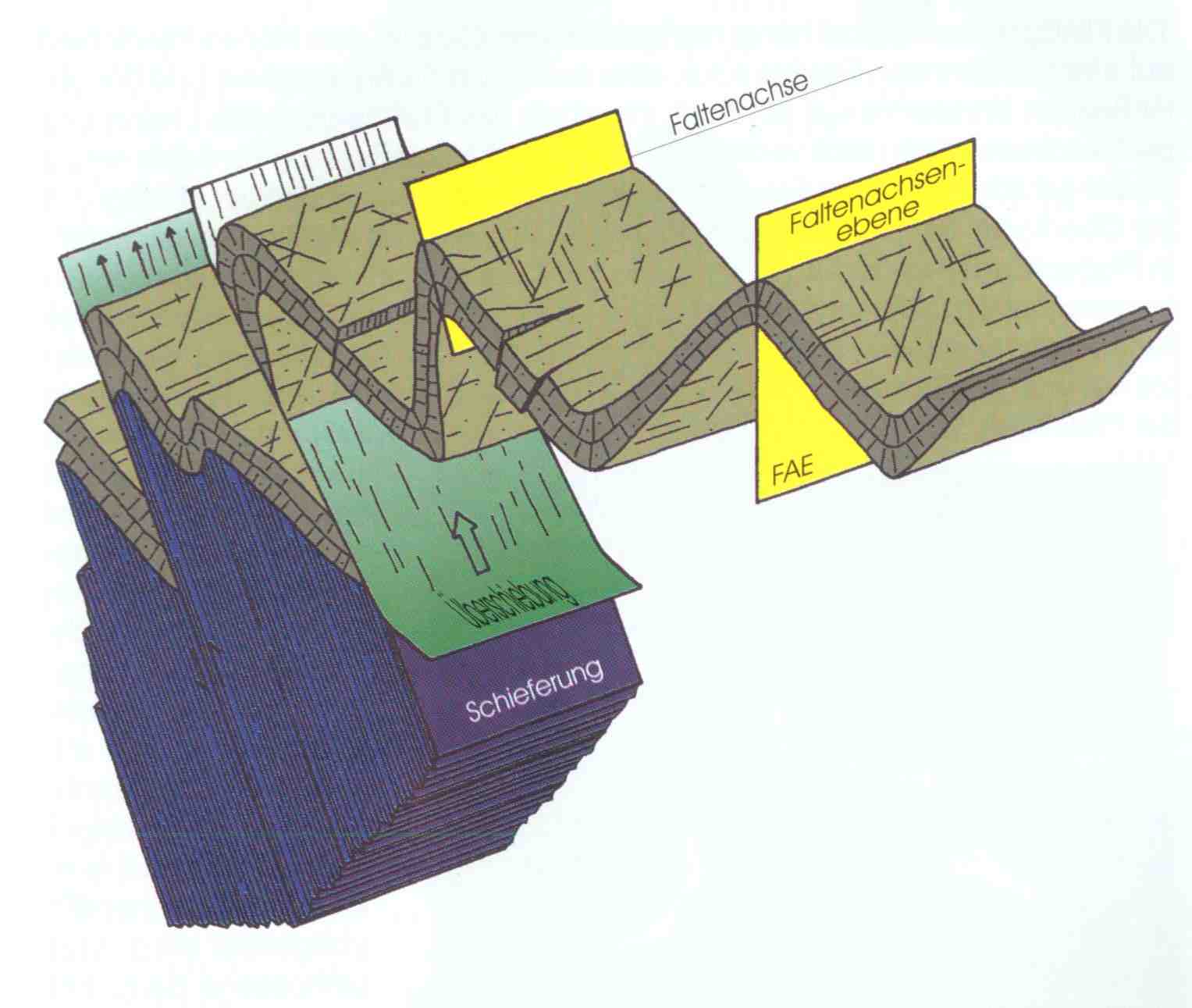 geologische Faltung => Schiefer entsteht